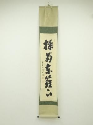 大徳寺　藤井誡堂筆　「採菊東籬下」一行書　肉筆紙本掛軸（共箱）